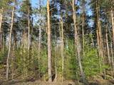 10.15 Spruce Hollow Trace - Photo 4