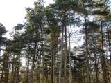 10.15 Spruce Hollow Trace - Photo 7