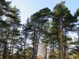 10.15 Spruce Hollow Trace - Photo 9