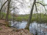 22431 Paulson Road - Photo 33