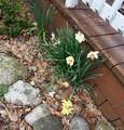 4284 Norway Road - Photo 5