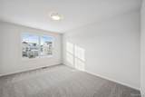 27109 Gallop Way - Photo 14