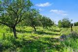 6629 Branch Road - Photo 3