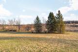 5665 Braun Road - Photo 95