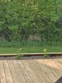 70336 Welding Road - Photo 65
