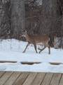 70336 Welding Road - Photo 69