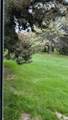 33779 Vista Drive - Photo 24