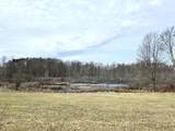 12409 Bellevue Road - Photo 29