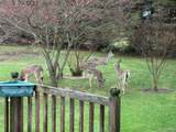 6882 Jones Road - Photo 56