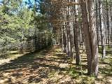 319 Lund Road - Photo 44