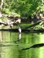 840 Black River Road - Photo 36