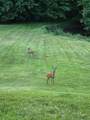 840 Black River Road - Photo 37