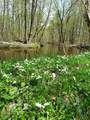 840 Black River Road - Photo 39