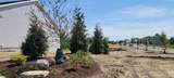 6600 Bellflower Drive - Photo 26