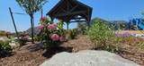 6600 Bellflower Drive - Photo 33