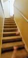 11334 Balfour Road - Photo 17