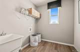 50681 Crusader Drive - Photo 13