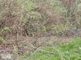 7405 Lansing Road - Photo 34
