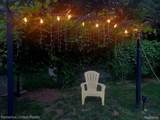 29821 Munro Street - Photo 32