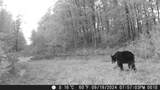 20179 Coates Highway - Photo 61