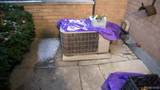 1011 Trevor Place - Photo 21