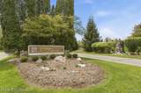 23910 Trailwood Court - Photo 40