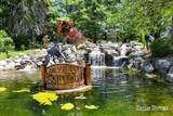 8366 Rose Ridge Drive - Photo 63