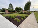 51713 Adler Park Drive - Photo 62