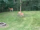 32080 9-Mile Road - Photo 42