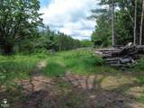 6800 Birch Valley Trail - Photo 34