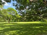 1330 Brauer Road - Photo 10