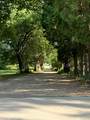 1330 Brauer Road - Photo 21