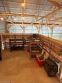 1330 Brauer Road - Photo 26