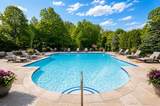 43640 Timberview Drive - Photo 8