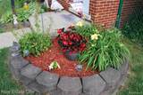 32759 Birchwood Street - Photo 44
