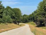 Lot #3 Bellinger Road - Photo 13