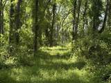 00 Lasher Road - Photo 5