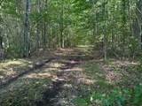 V/L Phelps Road - Photo 12