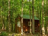 14739 9 Mile Road - Photo 11