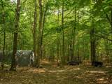 14739 9 Mile Road - Photo 16