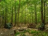 14739 9 Mile Road - Photo 21