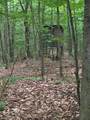 14739 9 Mile Road - Photo 30