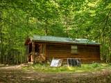 14739 9 Mile Road - Photo 4