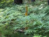  25A Nyrkkanen Road - Photo 26