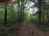 10622 7 Mile Road - Photo 37
