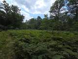 10622 7 Mile Road - Photo 41