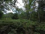10622 7 Mile Road - Photo 42