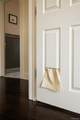 351 Chalmers Street - Photo 22