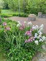 247 Scott Road - Photo 63