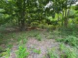 Lot #2 Bellinger Road - Photo 10